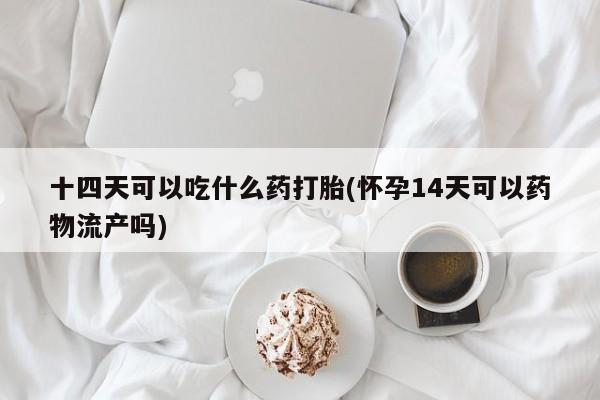 米非司酮打胎药官网十四天可以吃什么药打胎(怀孕14天可以药物流产吗)